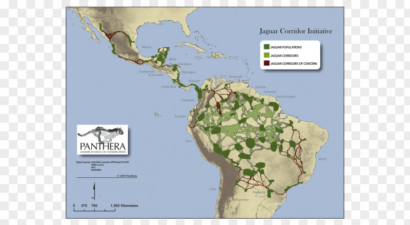 Jaguar Map Central America Landscape Mexico PNG