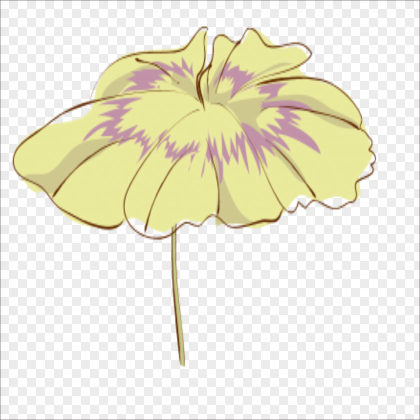 Lotus Leaf Floral Design Effect Nelumbo Nucifera PNG