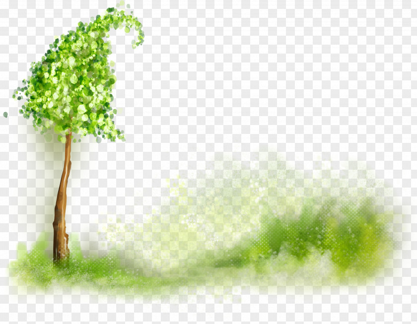 Nature Tree Desktop Wallpaper Clip Art PNG