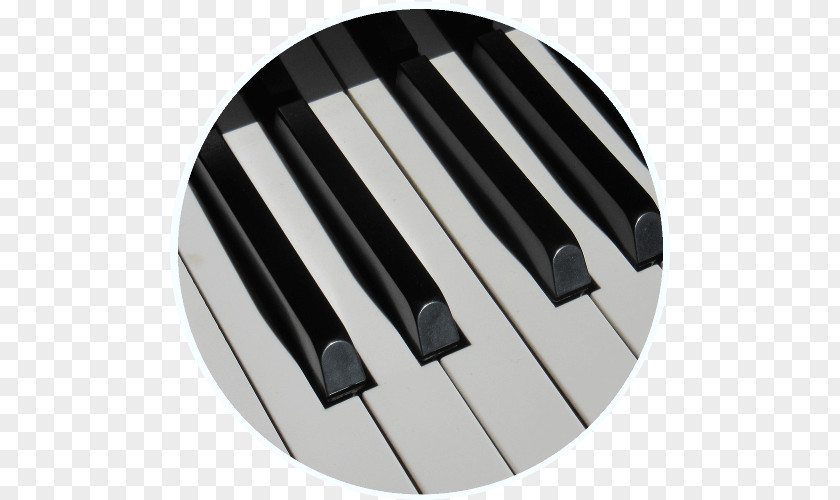 Piano Musical Keyboard Instruments PNG