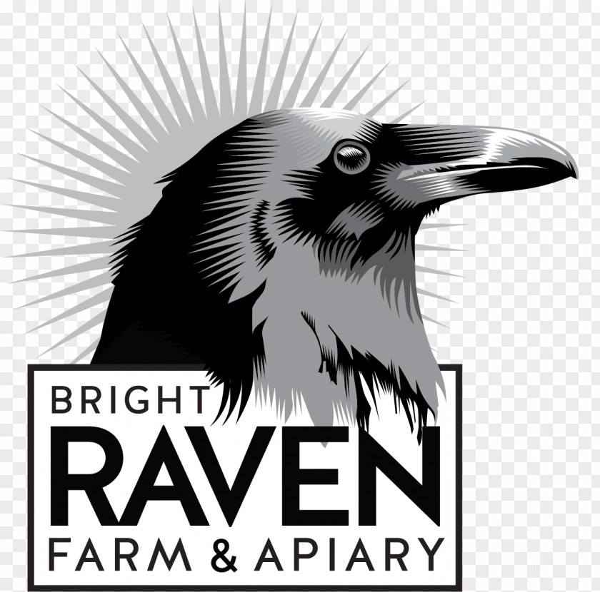 Birthday Cake Raven Energy ASX:REL Bright Farm Education Center PNG