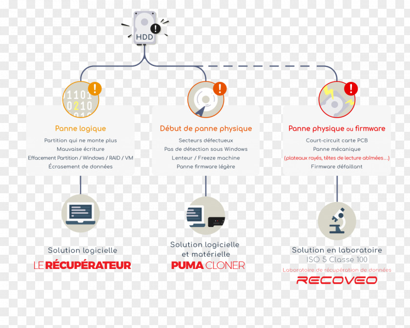 Design Brand Organization Diagram PNG