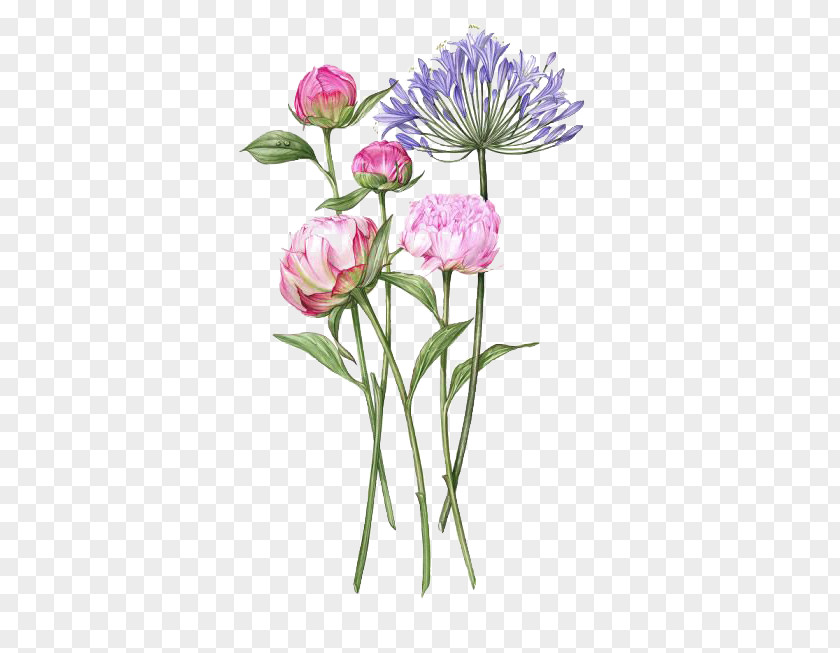 Flowers PNG clipart PNG