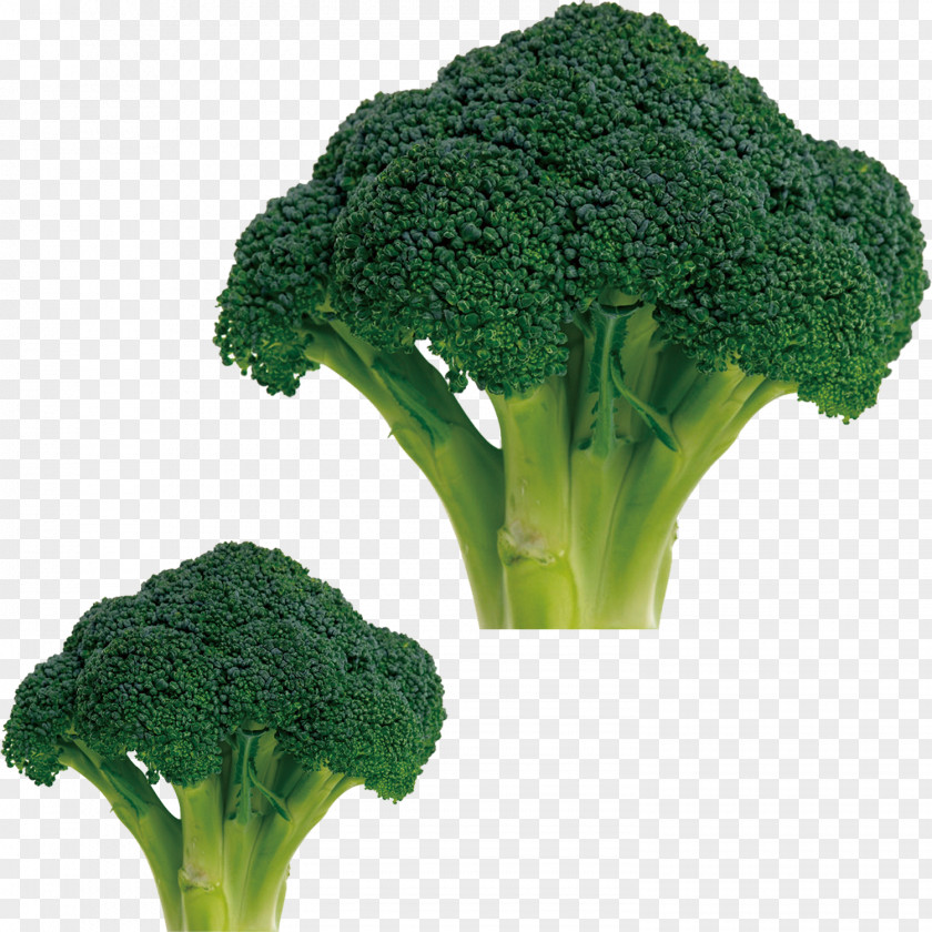 Cauliflower Broccoli Cabbage Vegetable Food PNG