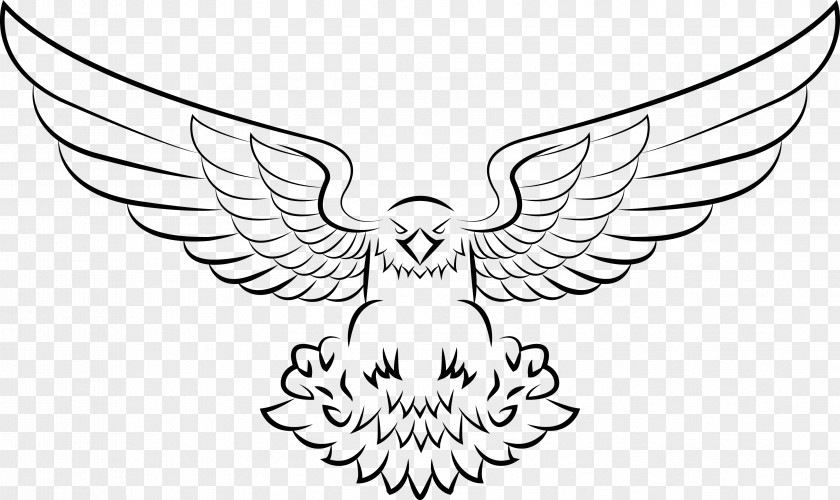 Eagle CrossFit Ridgewood Bald Drawing Clip Art PNG