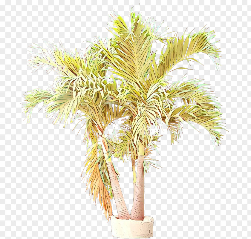 Houseplant Flowerpot Palm Tree PNG