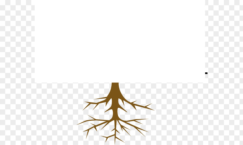 Tree Root Font Branch Clip Art PNG