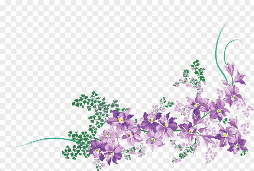 Clip Art Floral Design Flower PNG