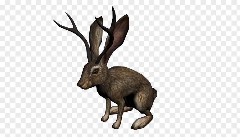 Deadanimal Red Dead Redemption: Undead Nightmare Jackalope Downloadable Content Video Game Wikia PNG