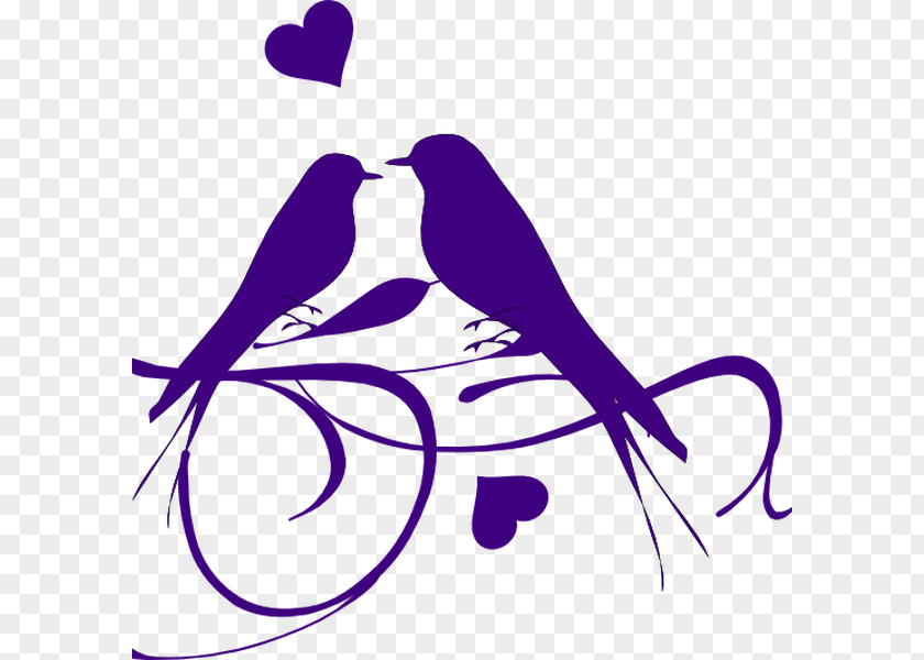 Swag Ribbon Lovebird Swallow Clip Art Silhouette PNG