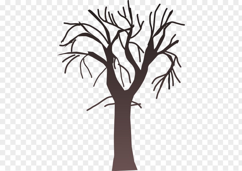 Tree Artwork Pictures Branch Clip Art PNG