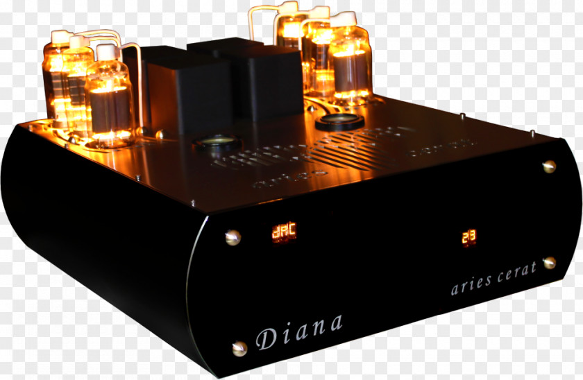 Amplifier High End Audio Power Integrated High-end PNG