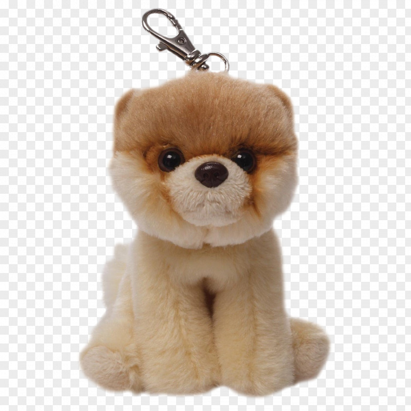 Boo Dog Image Pomeranian Stuffed Toy Gund PNG