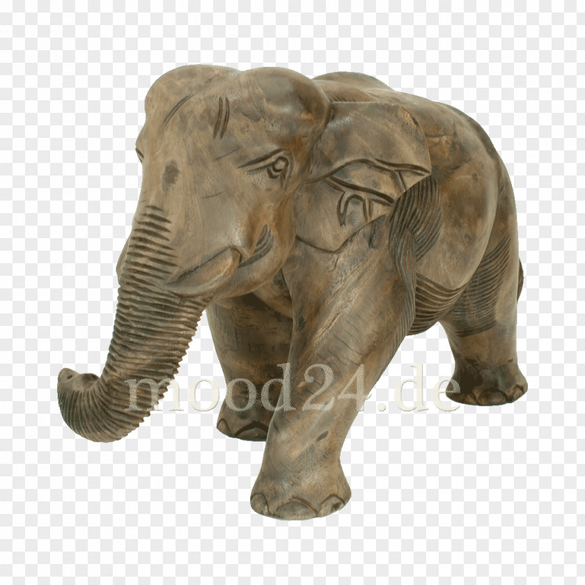India Indian Elephant African Tusk Wildlife Elephantidae PNG