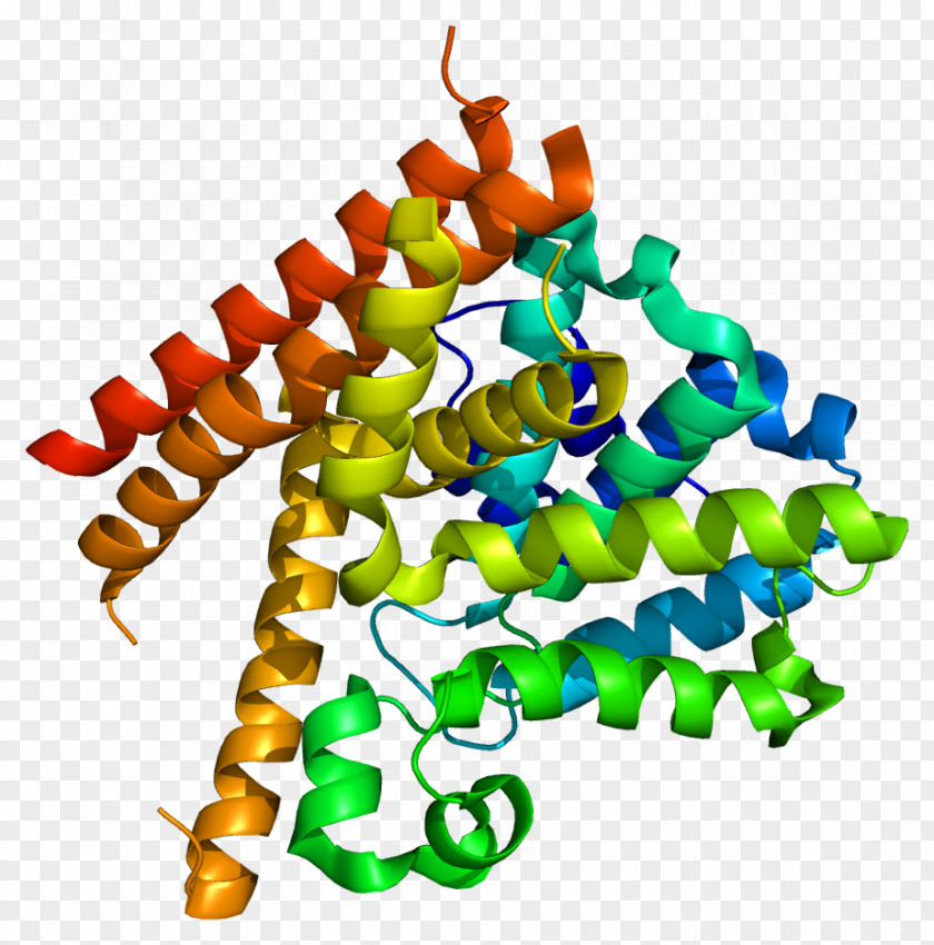 Looks Phosphodiesterase Inhibitor Fosfodiesterasa 1 Cyclic Adenosine Monophosphate Enzyme PNG