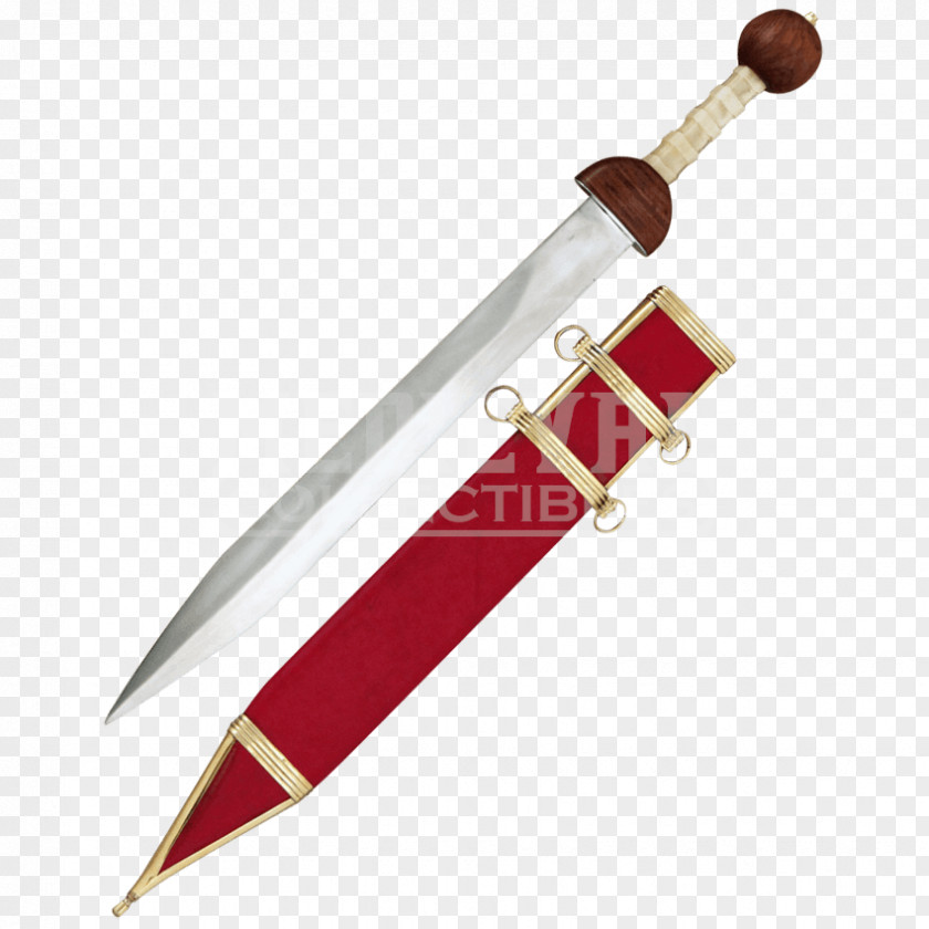 Sword Sabre Gladius Pompeii Ancient Rome PNG
