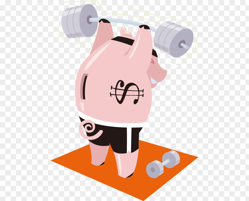 Vector Cartoon Fitness Pig Olympic Weightlifting Barbell Clip Art PNG