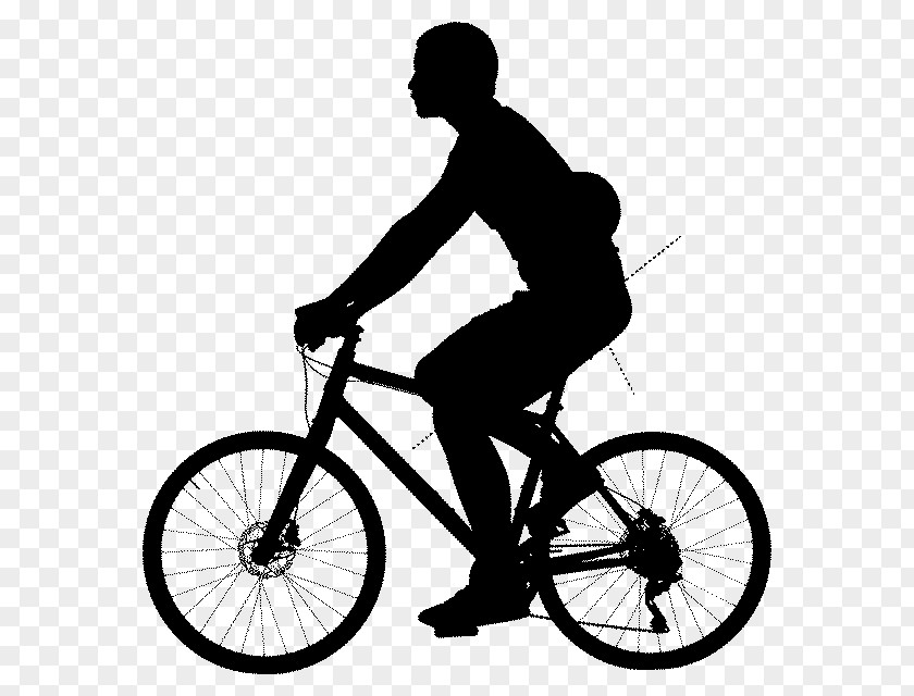 Vector Graphics Bicycle Stock Illustration Cycling PNG