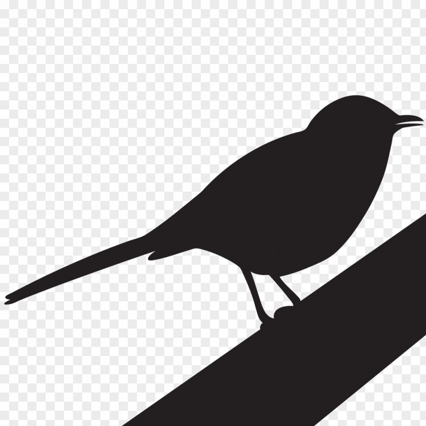 Wading Birds To Kill A Mockingbird Clip Art Image PNG