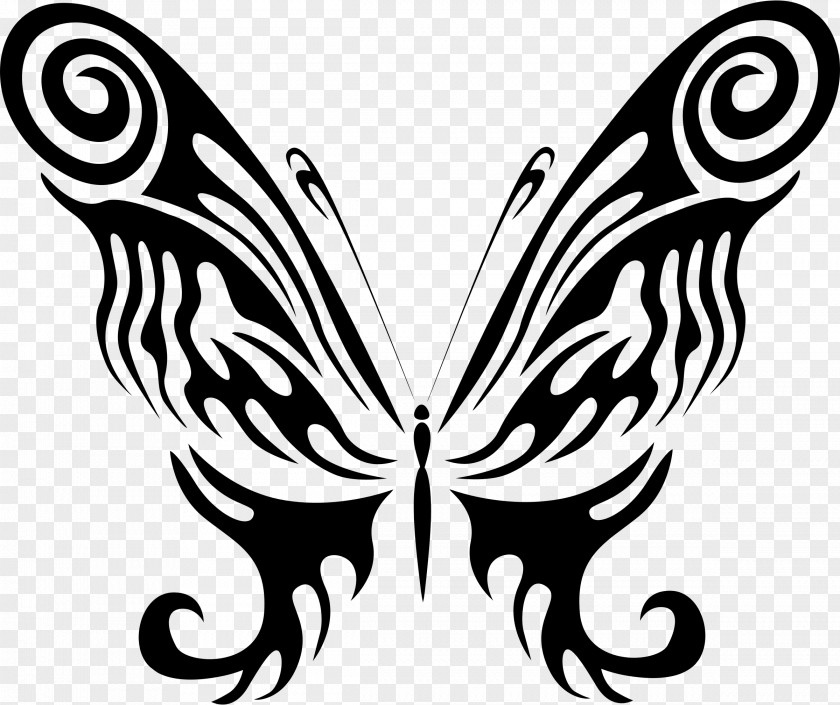 Brushfooted Butterfly Symmetry Stencil PNG