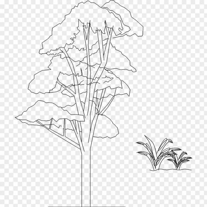 Design Twig Floral Sketch PNG