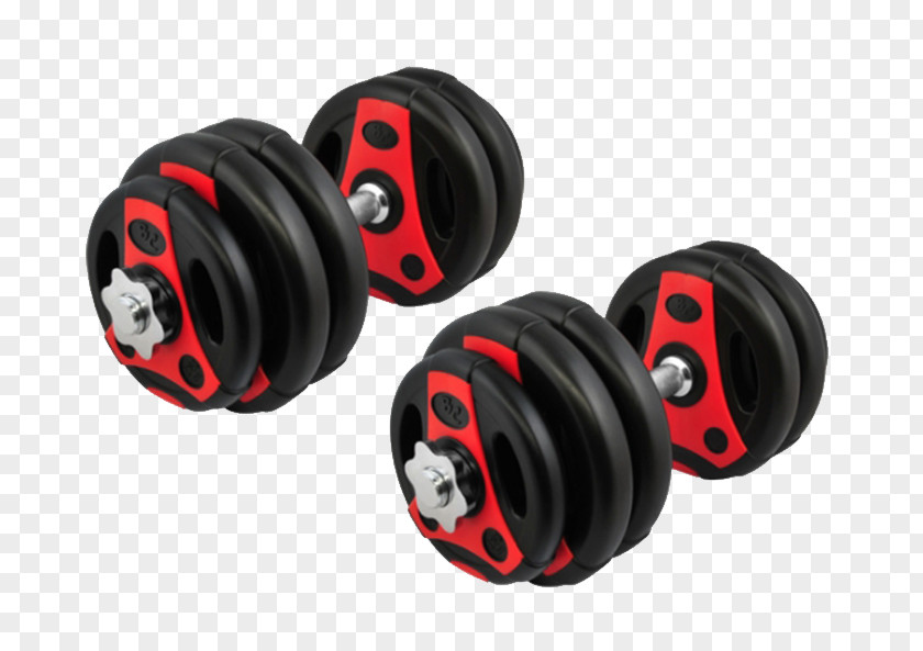 Dumbbell Training Exercise Equipment Weight Plate Physical Fitness PNG