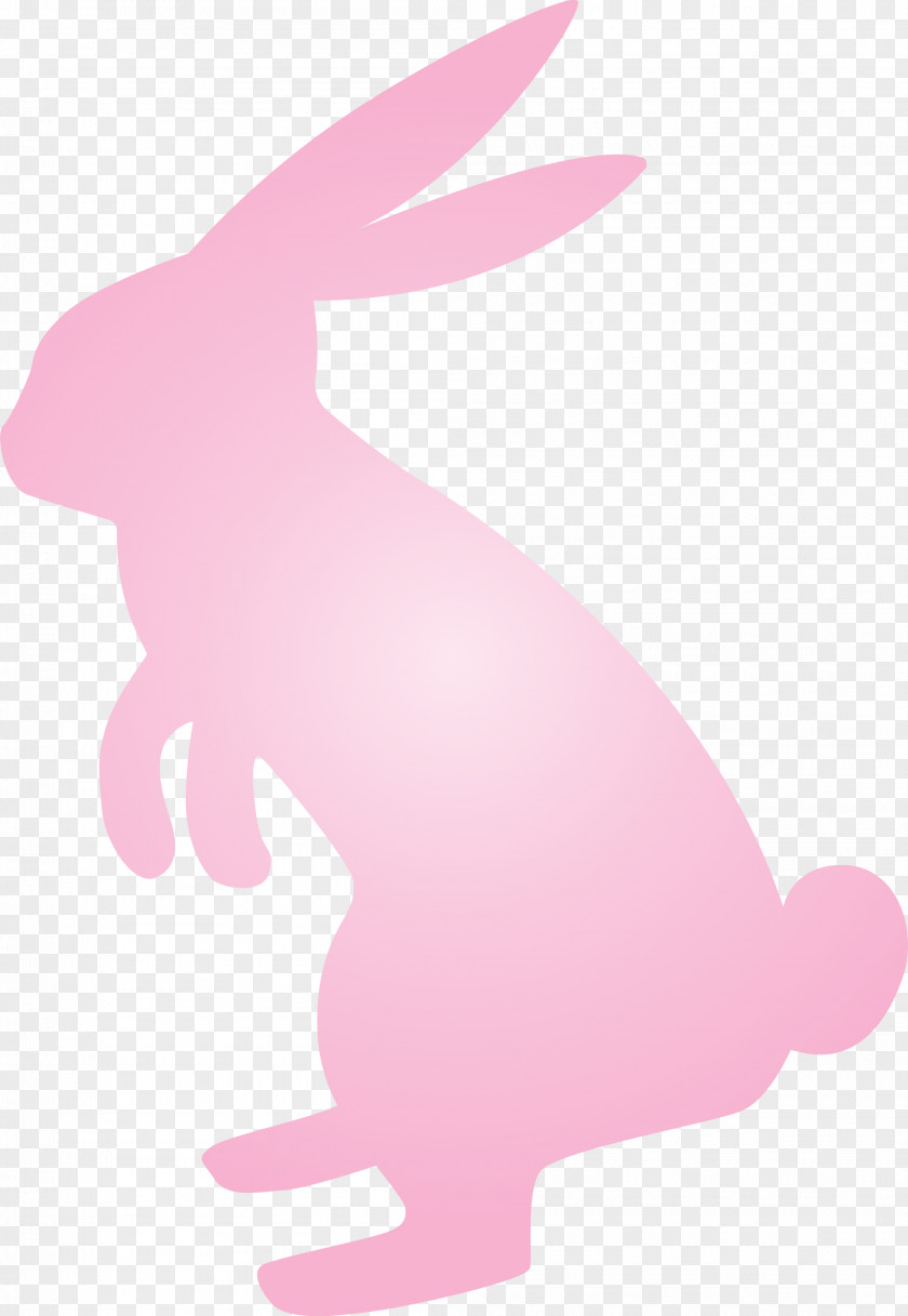 Easter Bunny Day Rabbit PNG