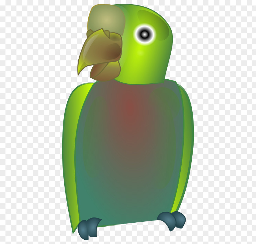 Parrot Bird Beak PNG
