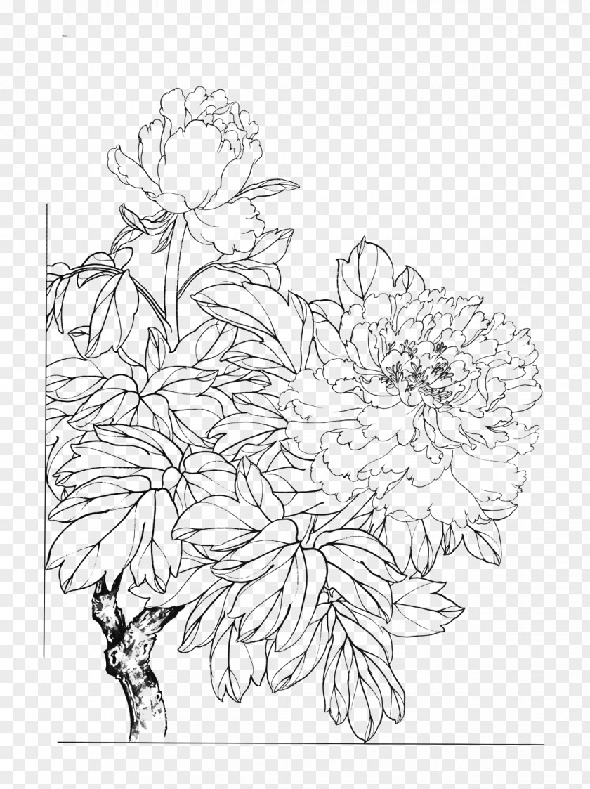 Peony Flower Line Drawing Moutan Art PNG