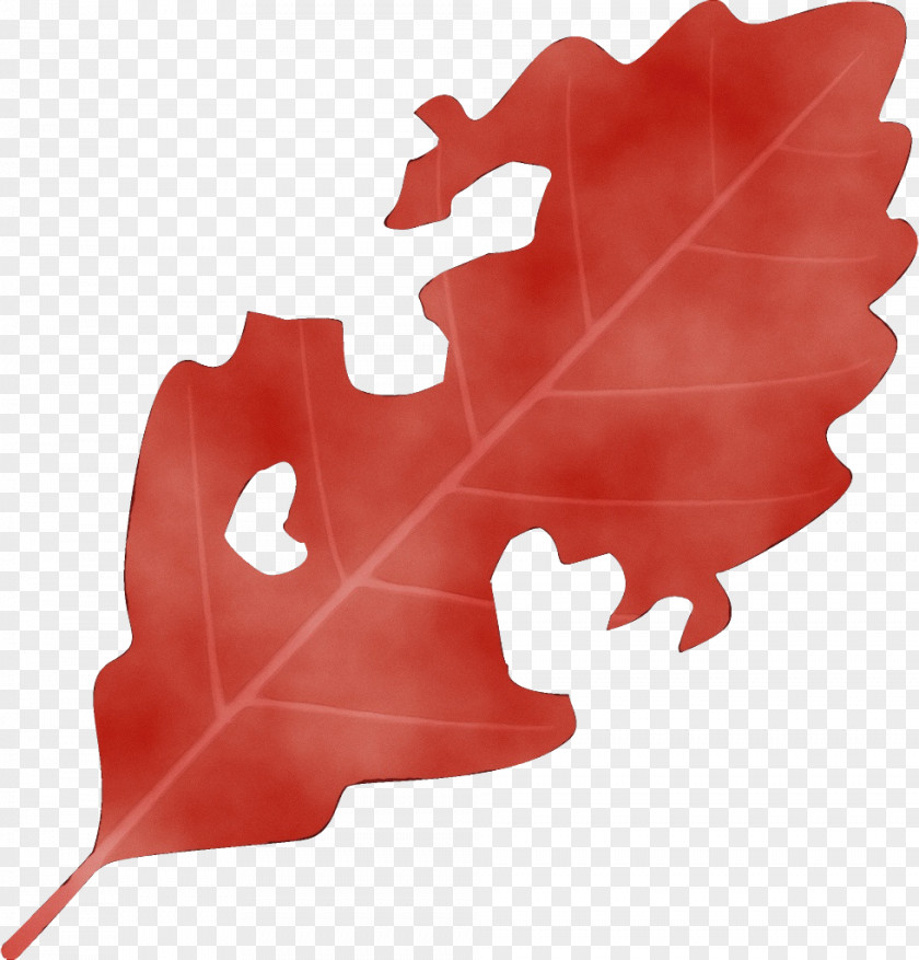 Plant Maple Leaf PNG