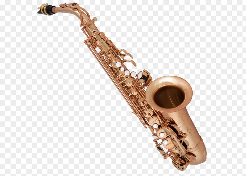 Saxophone Baritone Alto Clarinet Family Musical Instruments PNG