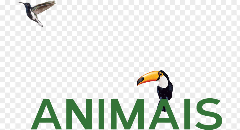 Toucan Logo Advertising Brand Beak PNG