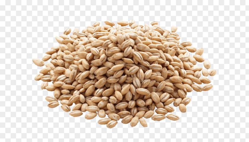 Barley Organic Food Pearl Cereal PNG