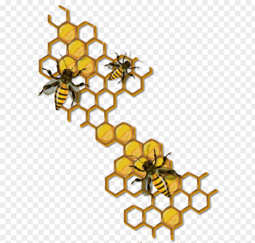 Bee Honey Beehive Drawing Maya PNG