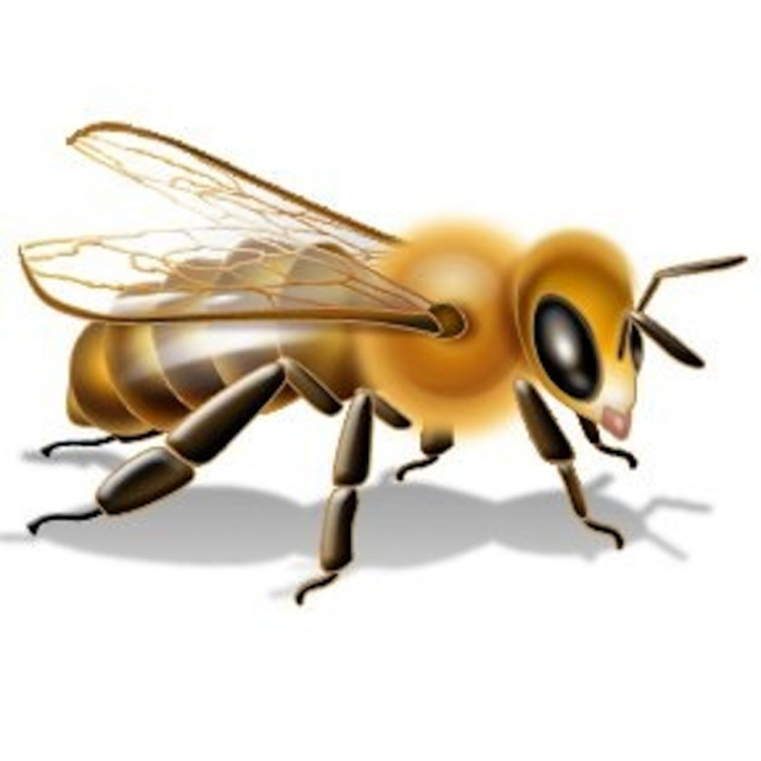 Bee Insecticide Pesticide Label Neonicotinoid PNG