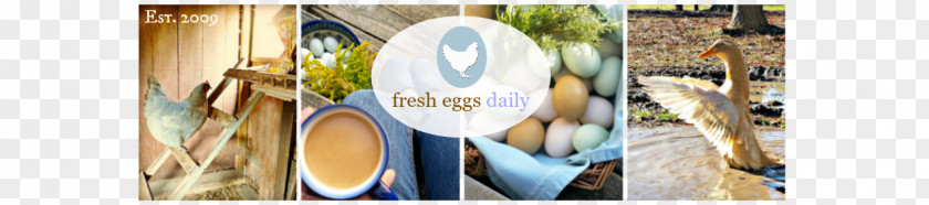 Fresh Eggs Daily: Raising Happy, Healthy Chickens ... Naturally Poultry Livestock PNG