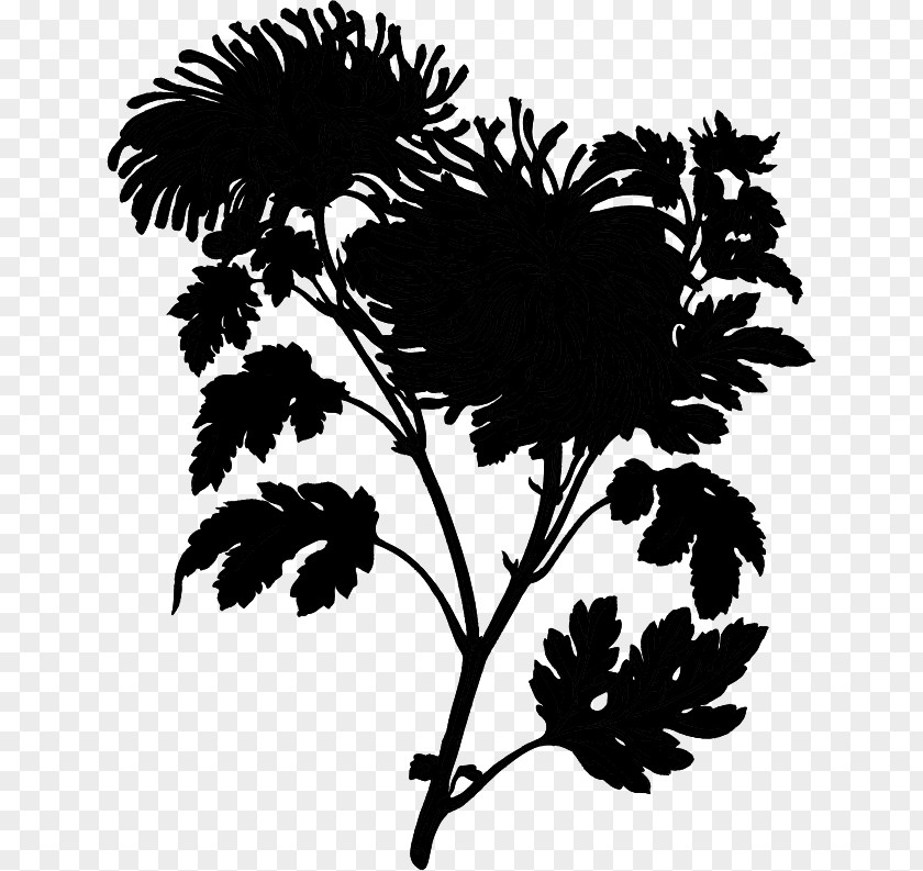 M Floral Design Leaf Chrysanthemum Black & White PNG