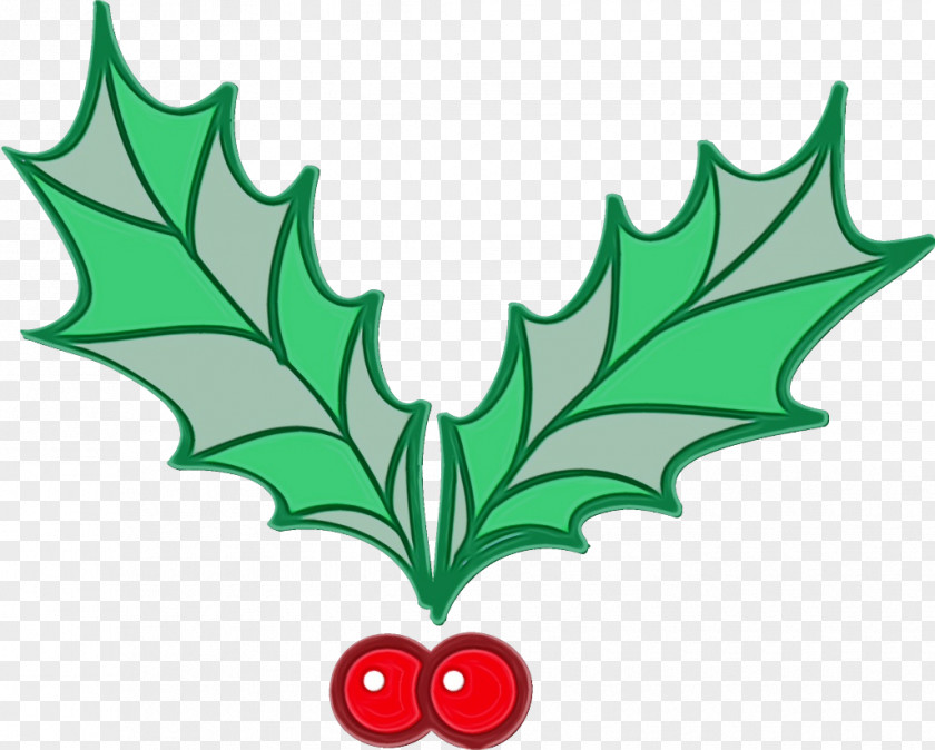 Plane Tree Holly PNG