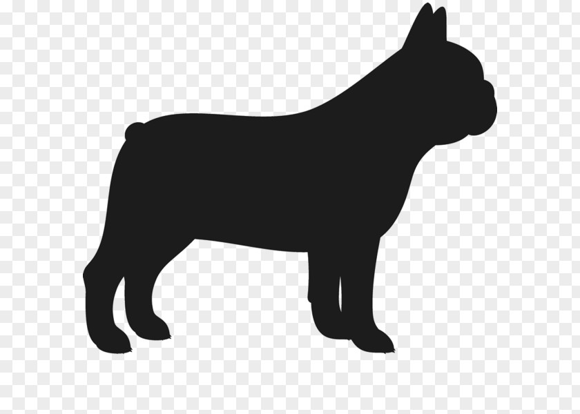 Puppy French Bulldog Pug American PNG