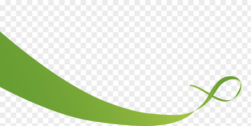 Swoosh Cliparts Logo Brand Green Font PNG