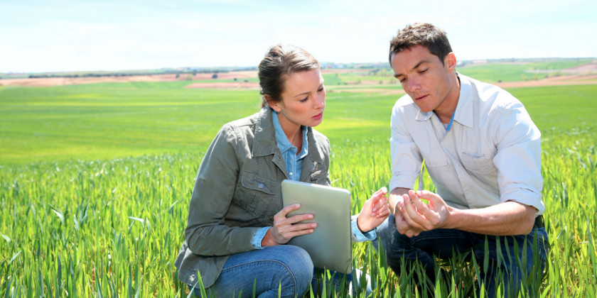 Agriculture Agronomy Agricultural Science Crop Organization PNG