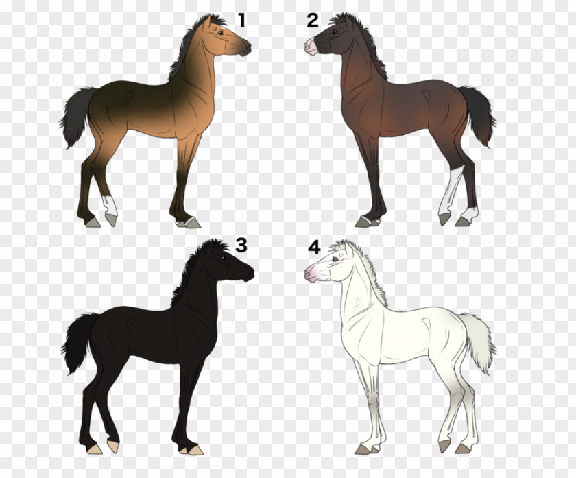 Horse Auction Mustang Foal Mare Stallion Colt PNG