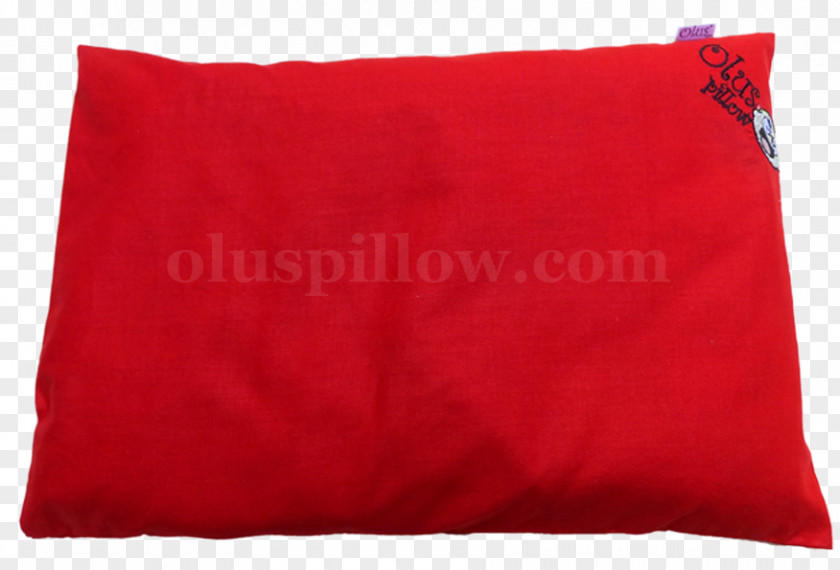 Kacang Hijau Cushion Throw Pillows Velvet Rectangle PNG