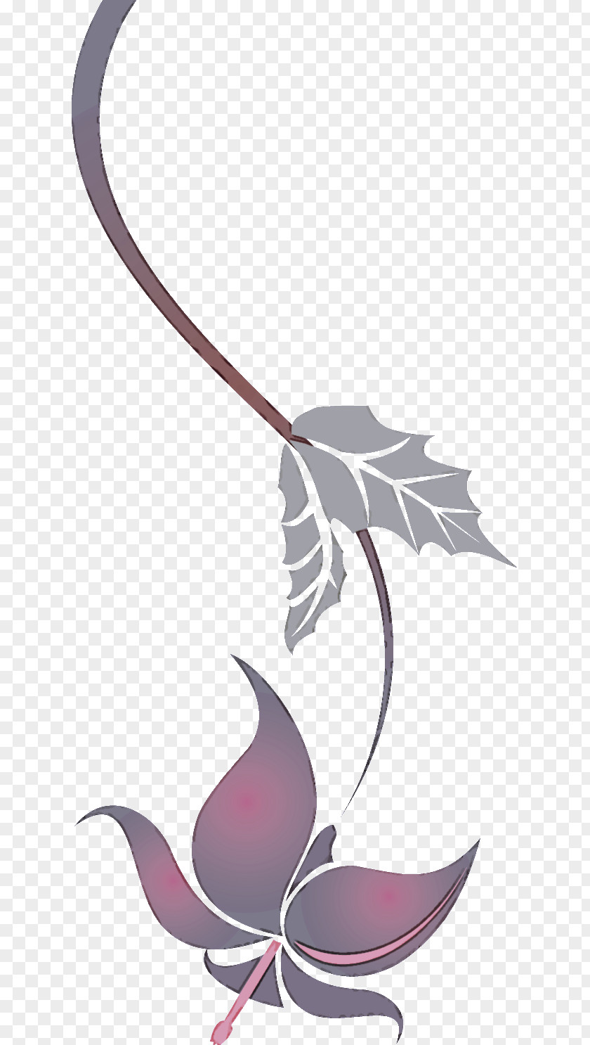 Lily Flower PNG