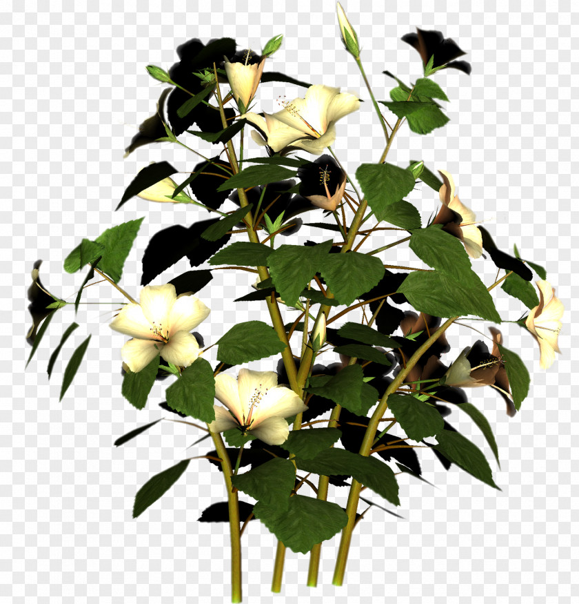 Plant Flower Clip Art PNG