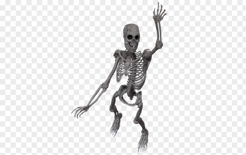 Skeleton Joint Poser Rendering PNG