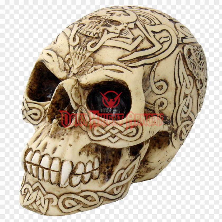 Skull Human Celts Skeleton Bone PNG