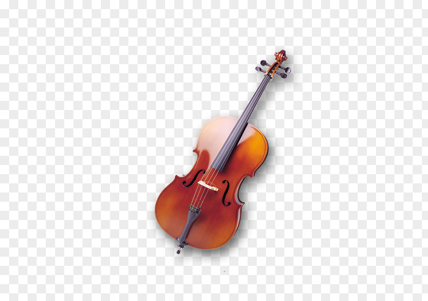 Violin Bass Double Violone Viola PNG