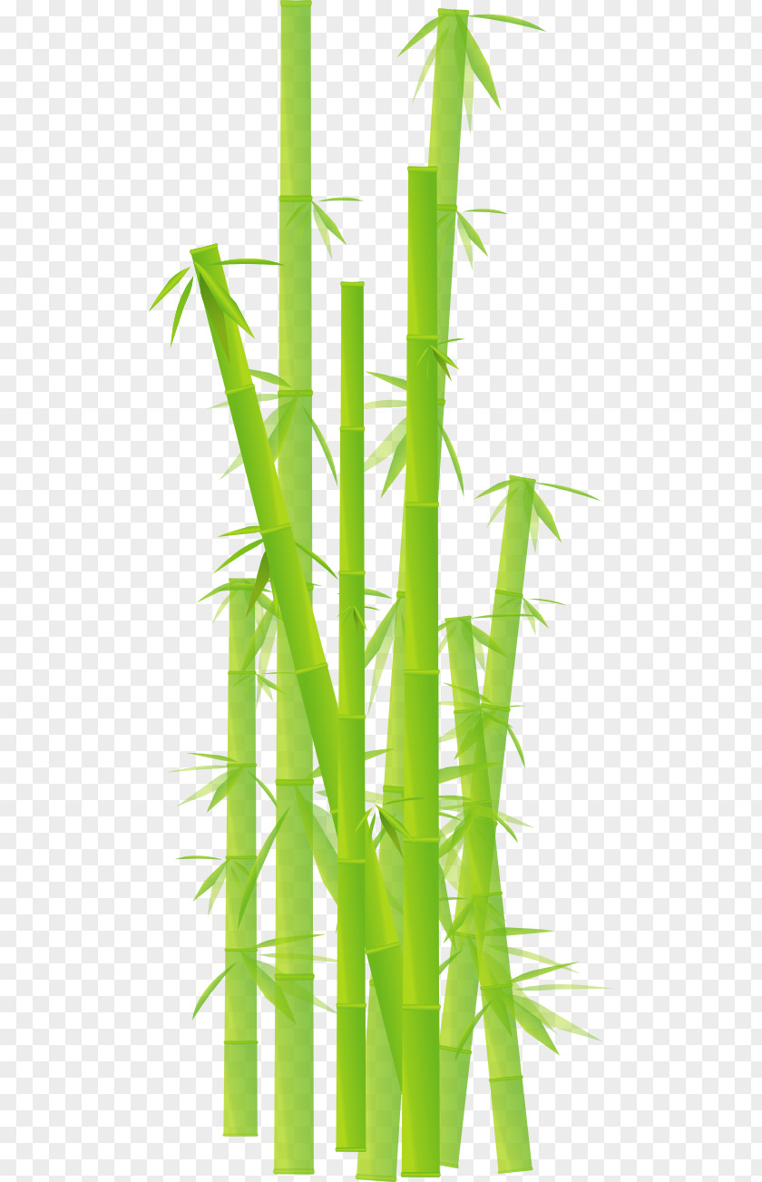 Bamboo Cliparts Clip Art PNG