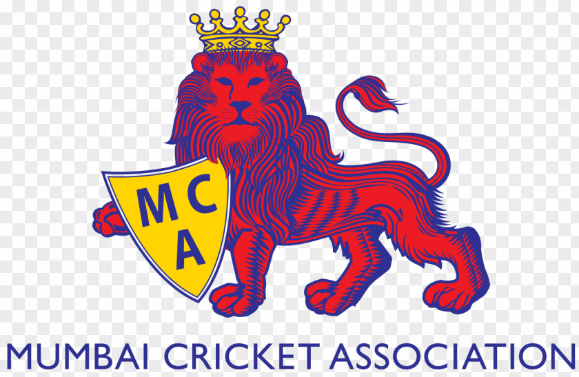 Cricket Mumbai Team Association India National Bandra Kurla Complex Ground Club Of PNG